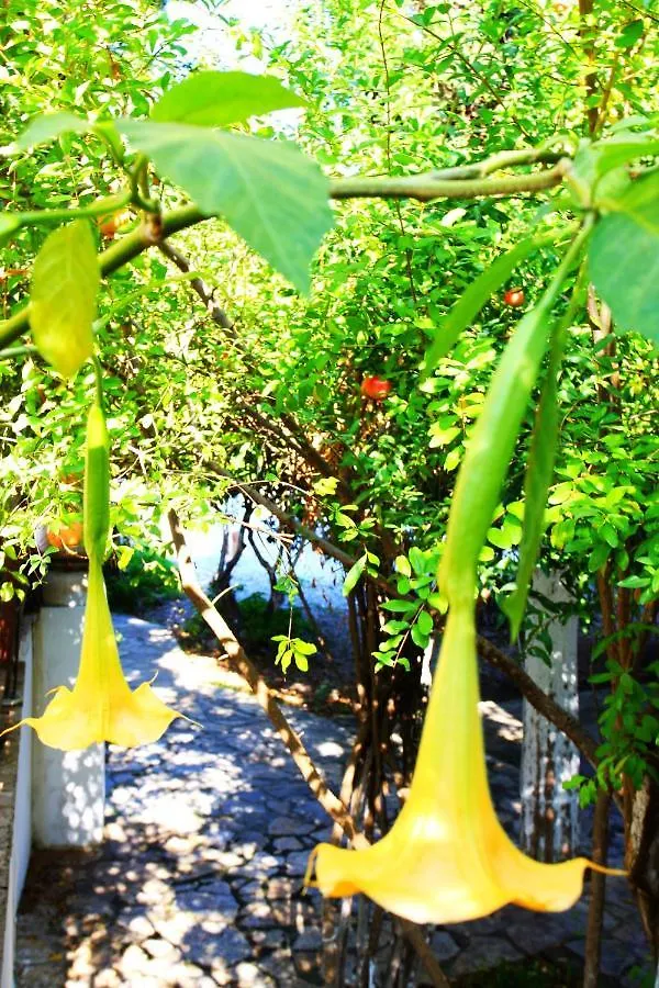 *** Guest house Camlikosk Apart Hotel Bodrum Turkey